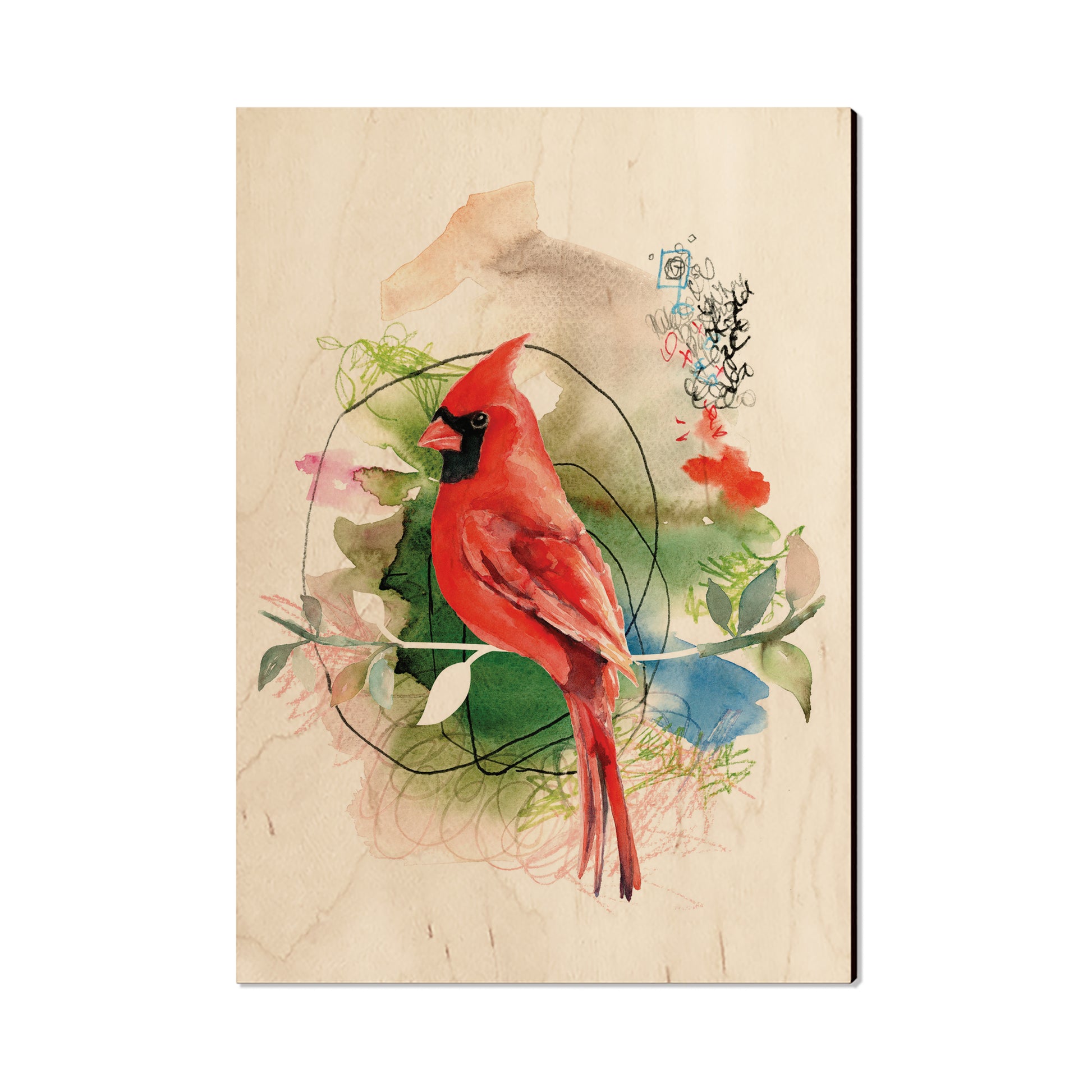 Henning's Cardinal Stem - Small Art & Gift Postcard (5pk // $2.40ea)