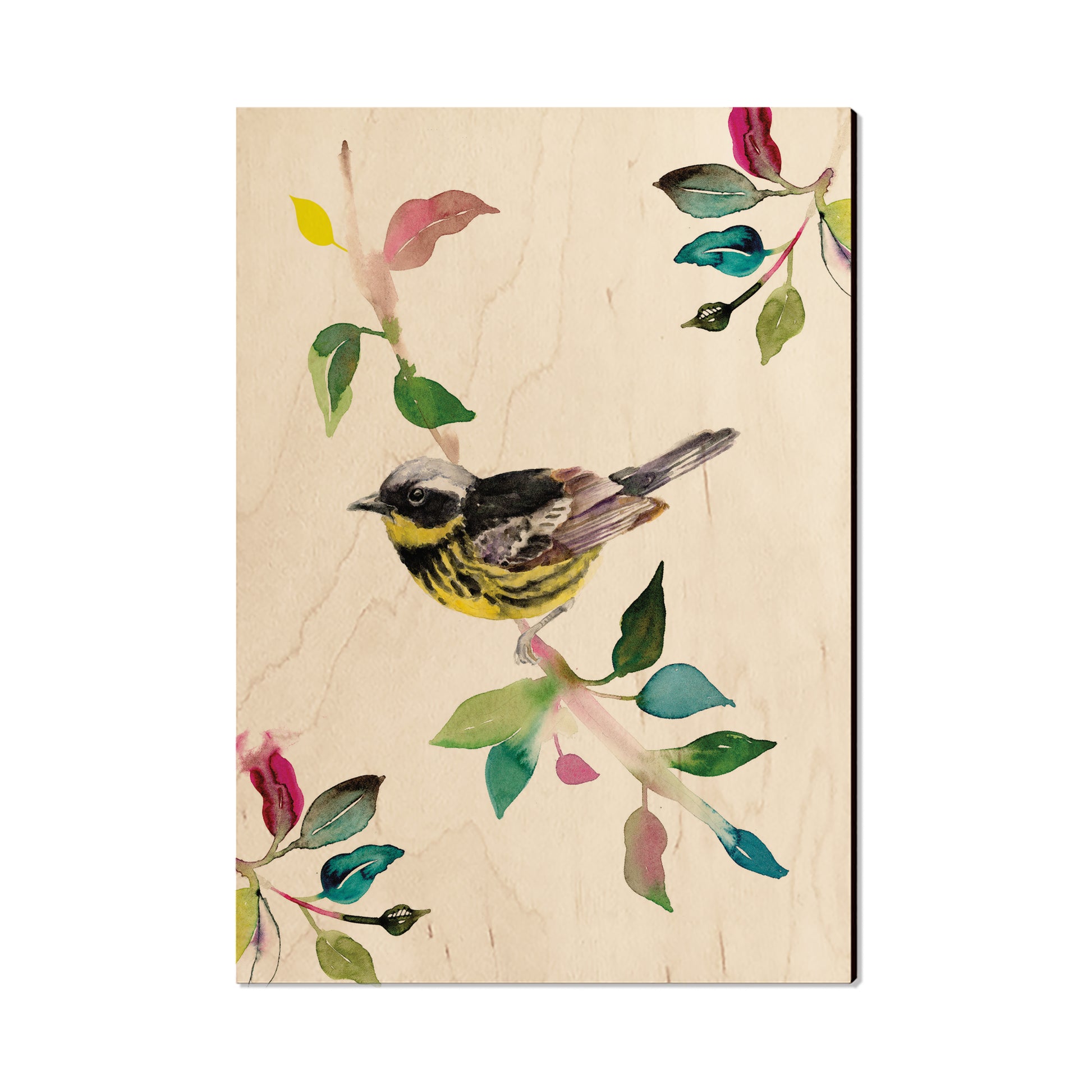 Henning's Magnolia Warbler - Small Art & Gift Postcard (5pk // $2.40ea)