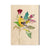 Henning's Thistle Finch - Small Art & Gift Postcard (5pk // $2.40ea)