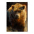 Marris' Big Grizz - Small Art & Gift Postcard (5pk // $2.80ea)