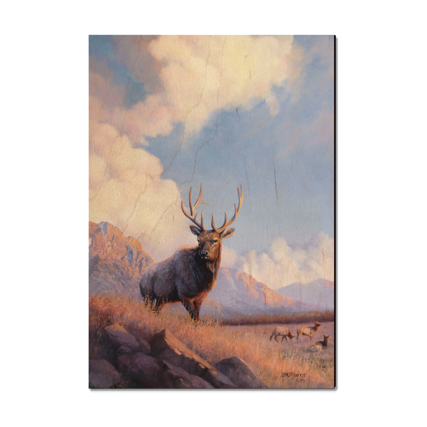 Marris' Blue Sky Elk - Small Art & Gift Magnet (5pk // $2.80ea)
