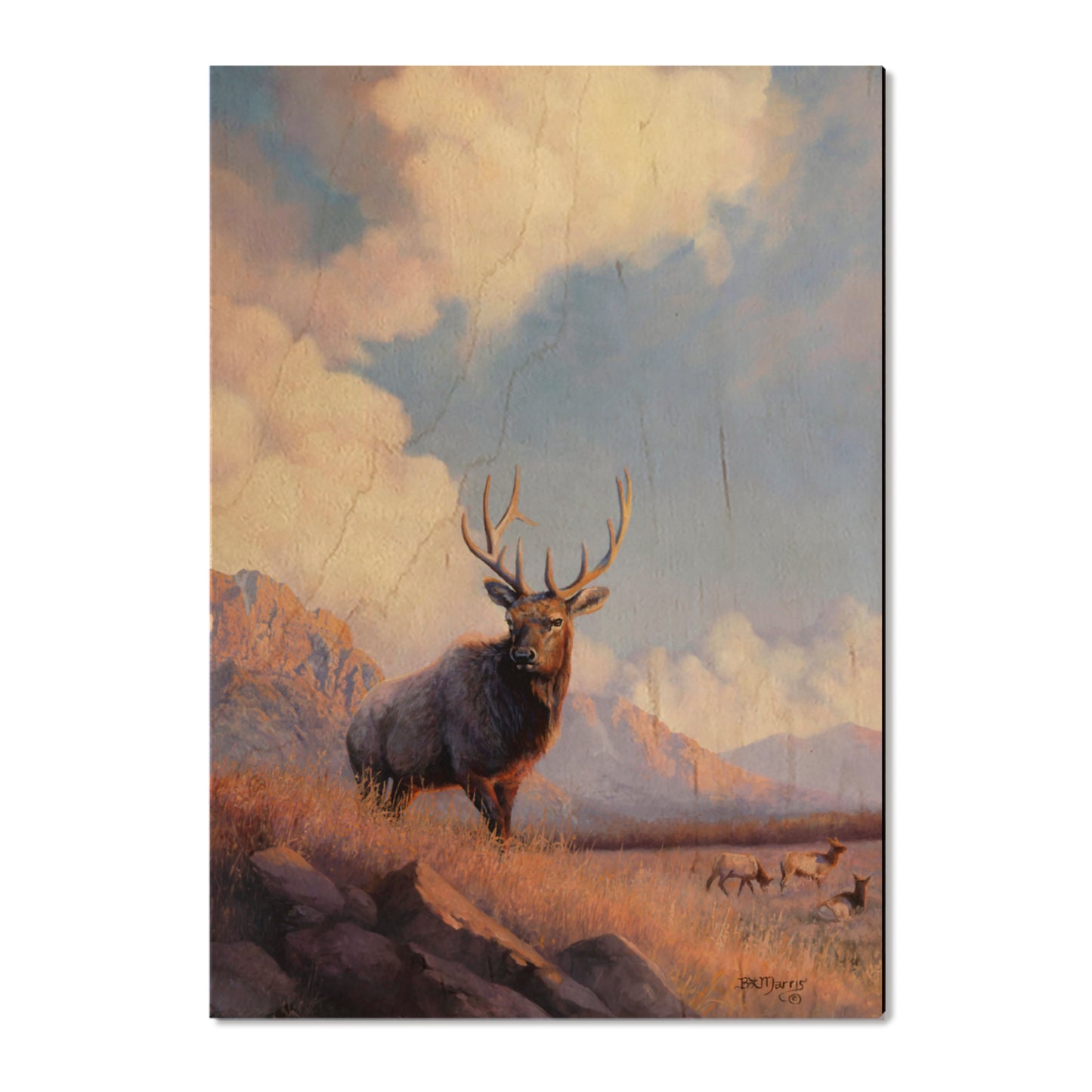 Marris' Blue Sky Elk - Small Art & Gift Postcard (5pk // $2.80ea)