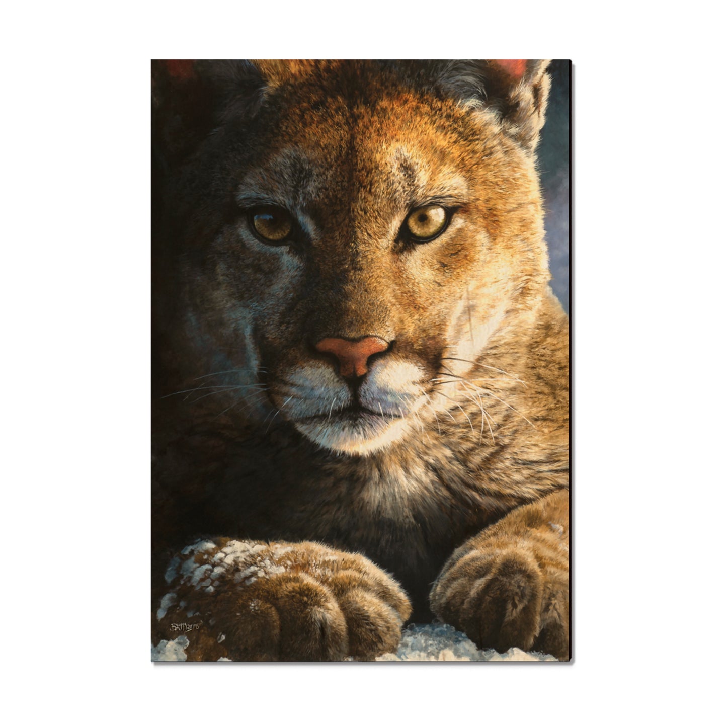 Marris' Cold Reception - Small Art & Gift Magnet (5pk // $2.80ea)