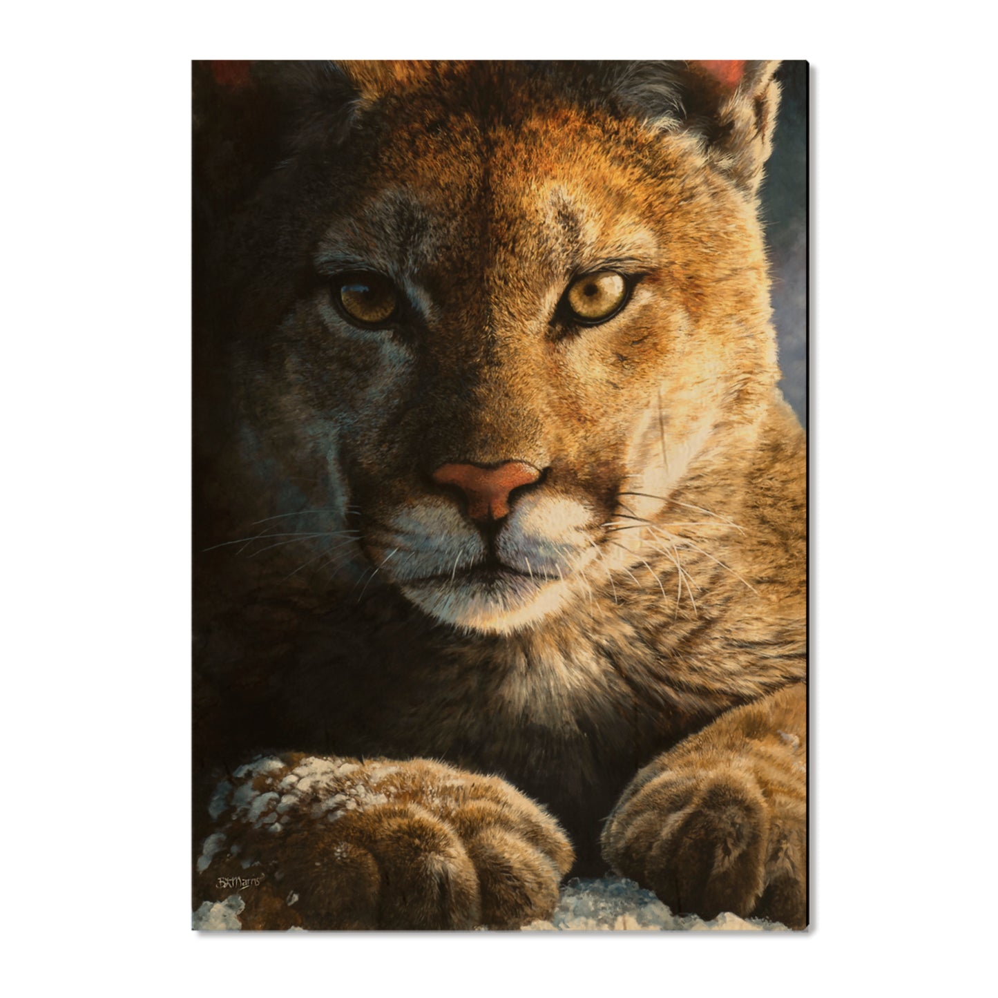 Marris' Cold Reception - Small Art & Gift Postcard (5pk // $2.80ea)