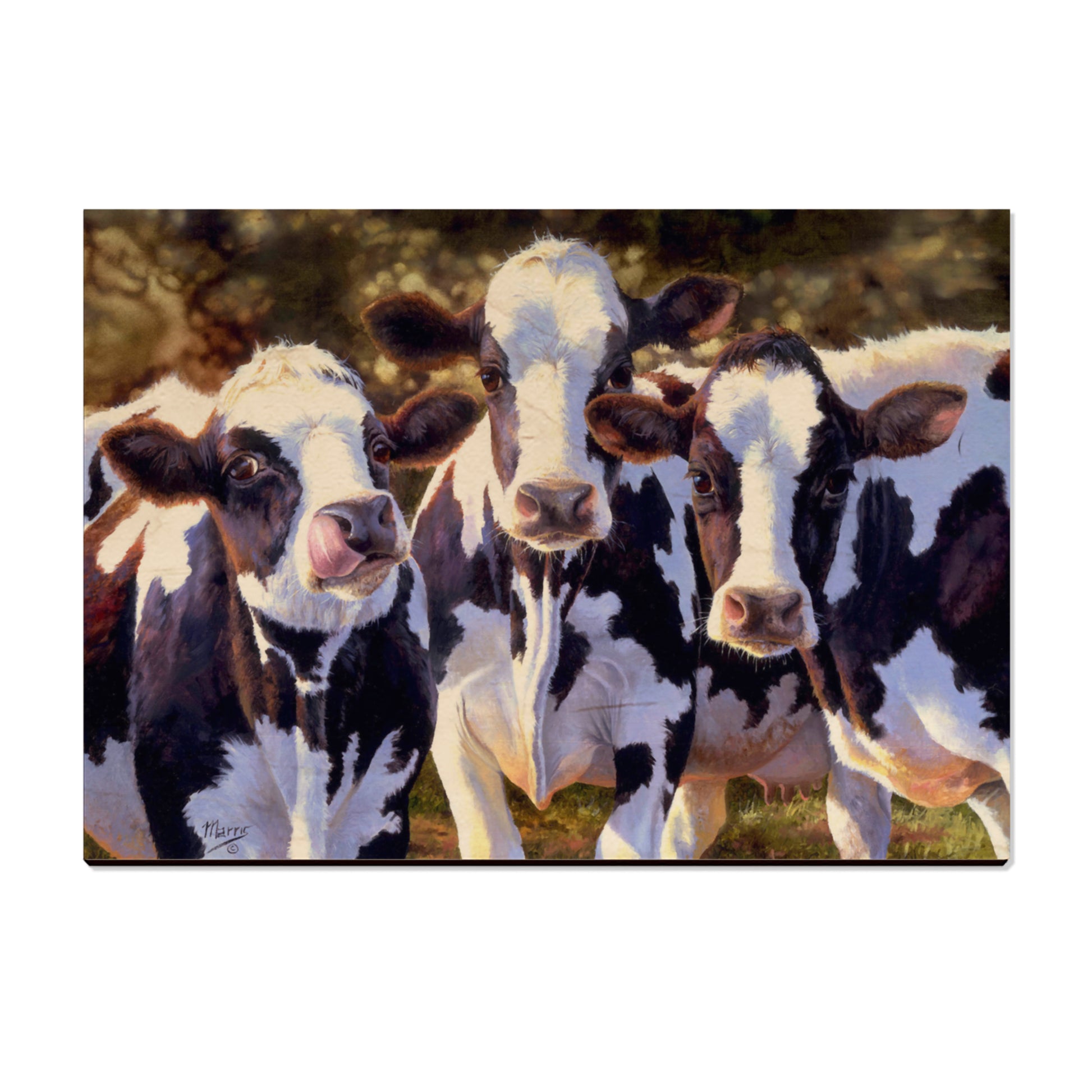 Marris' Dairy Queens - Small Art & Gift Postcard (5pk // $2.80ea)