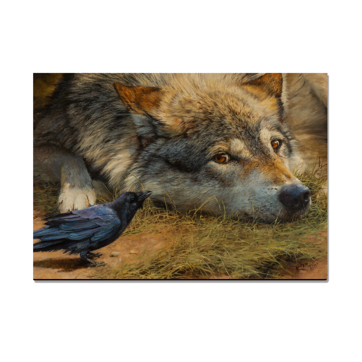 Marris' Evening News - Small Art & Gift Magnet (5pk // $2.80ea)