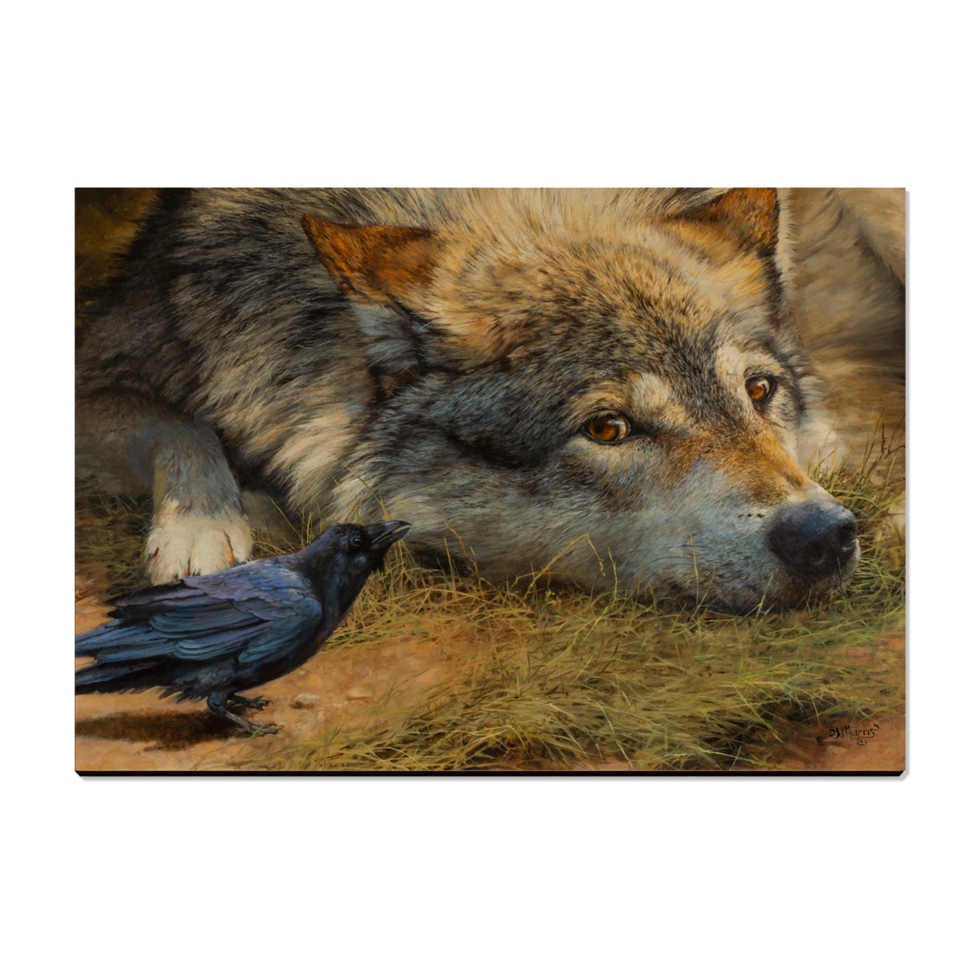 Marris' Evening News - Small Art & Gift Postcard (5pk // $2.80ea)