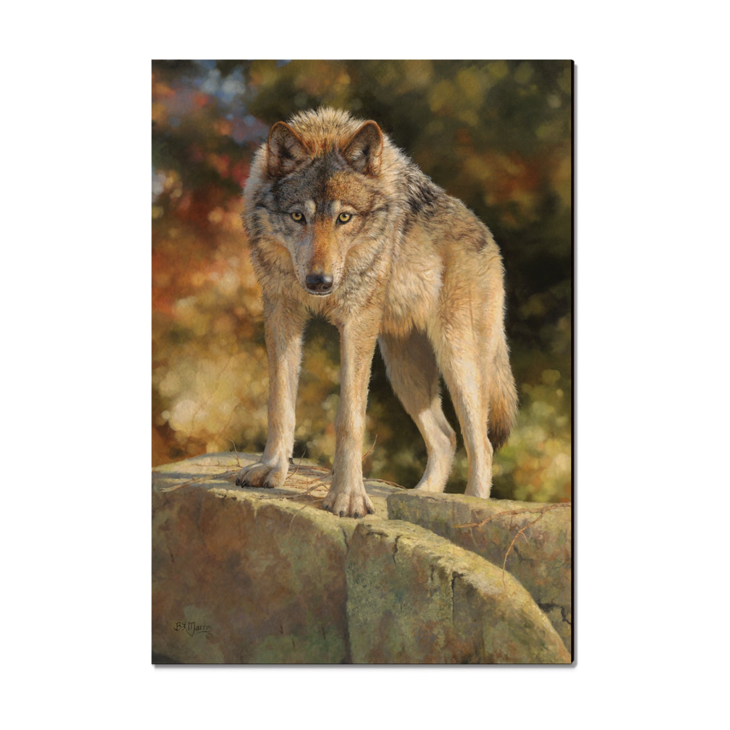 Marris' Eye to Eye - Small Art & Gift Magnet (5pk // $2.80ea)