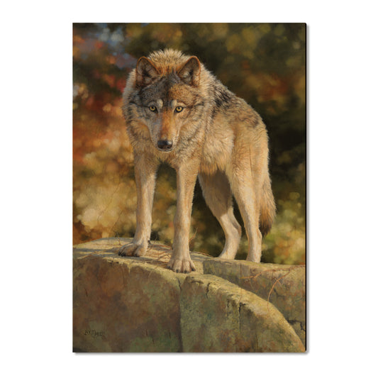 Marris' Eye to Eye - Small Art & Gift Postcard (5pk // $2.80ea)