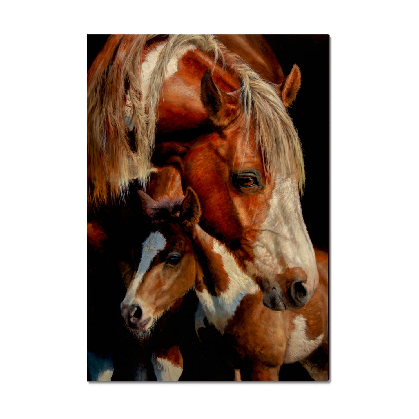 Marris' First Foal - Small Art & Gift Magnet (5pk // $2.80ea)