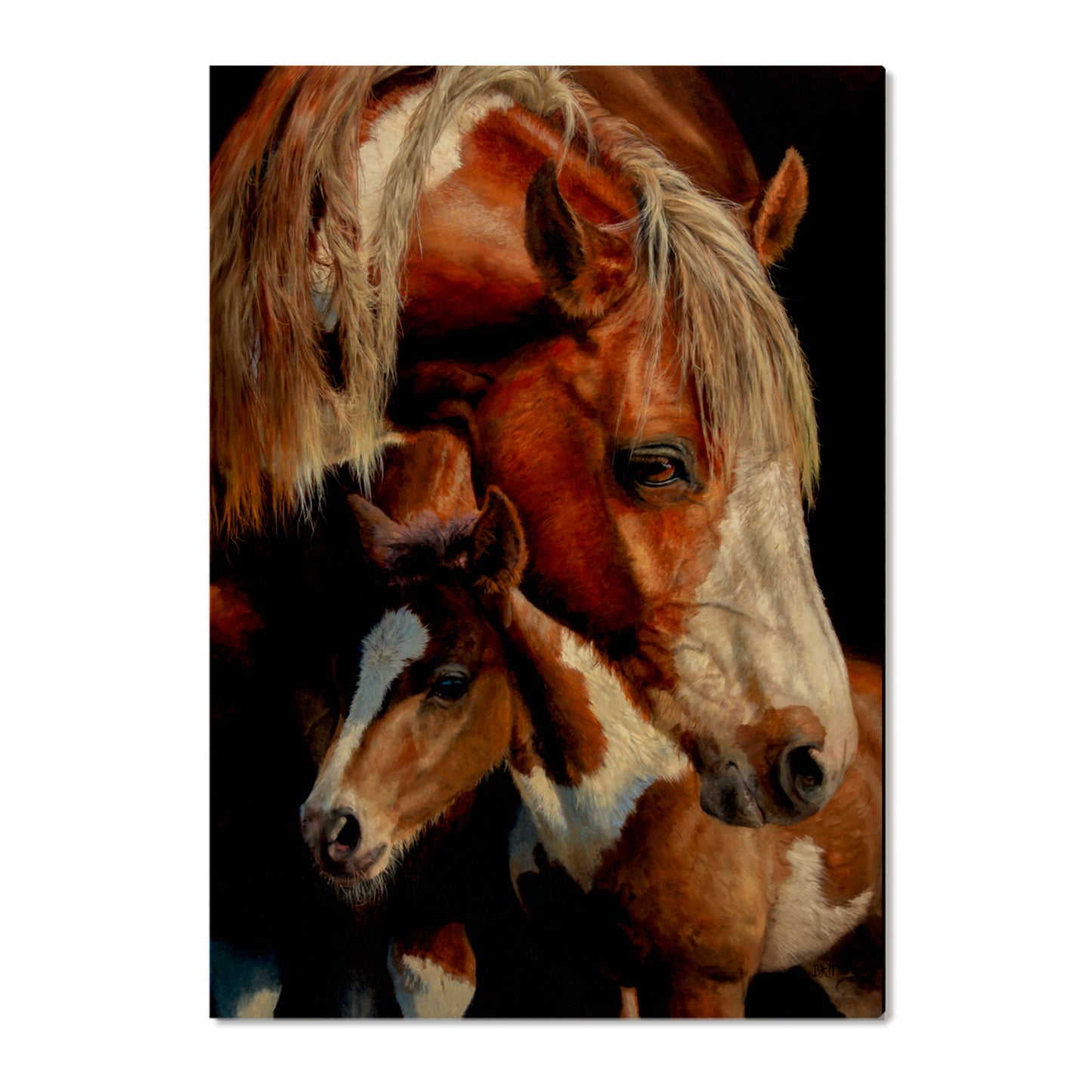 Marris' First Foal - Small Art & Gift Postcard (5pk // $2.80ea)