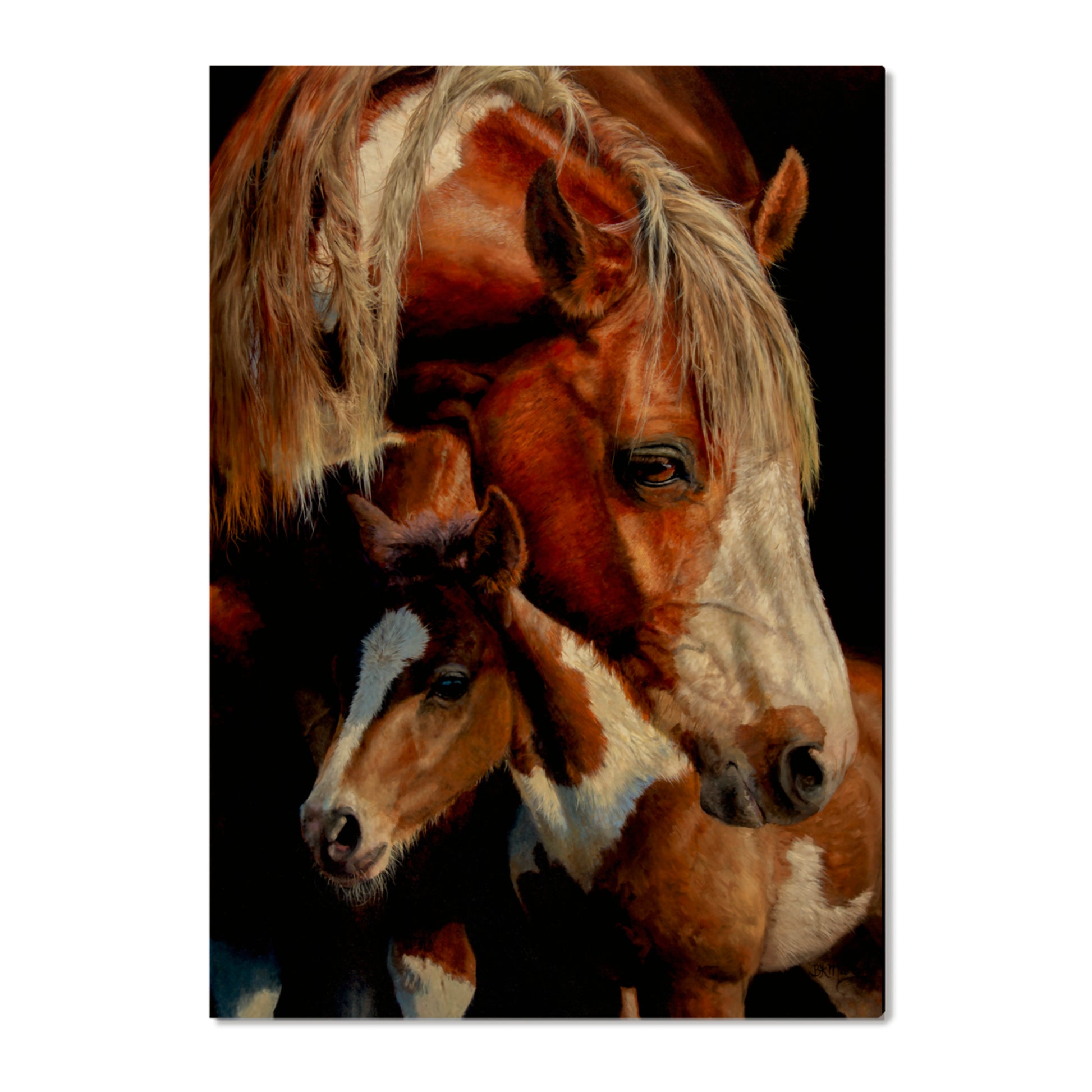 Marris' First Foal - Small Art & Gift Postcard (5pk // $2.80ea)