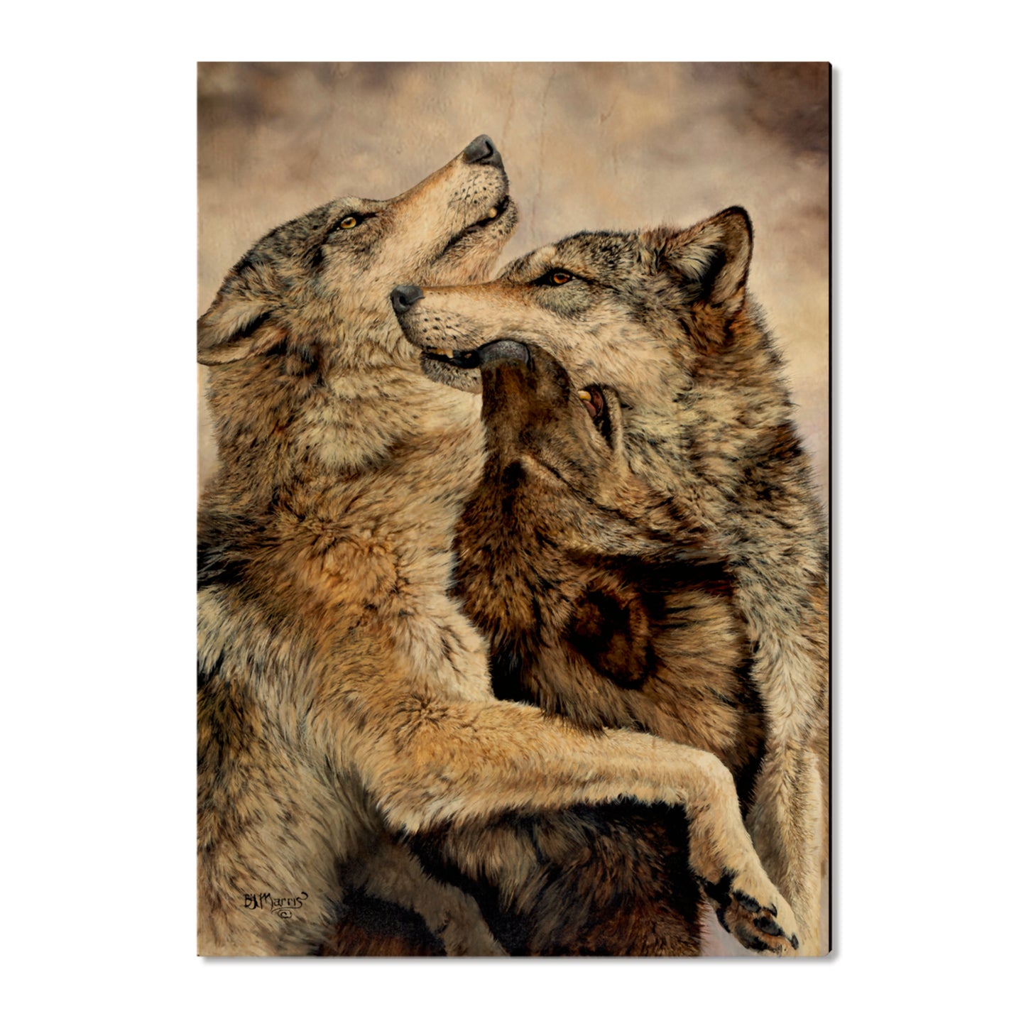 Marris' Family Reunion - Small Art & Gift Postcard (5pk // $2.80ea)