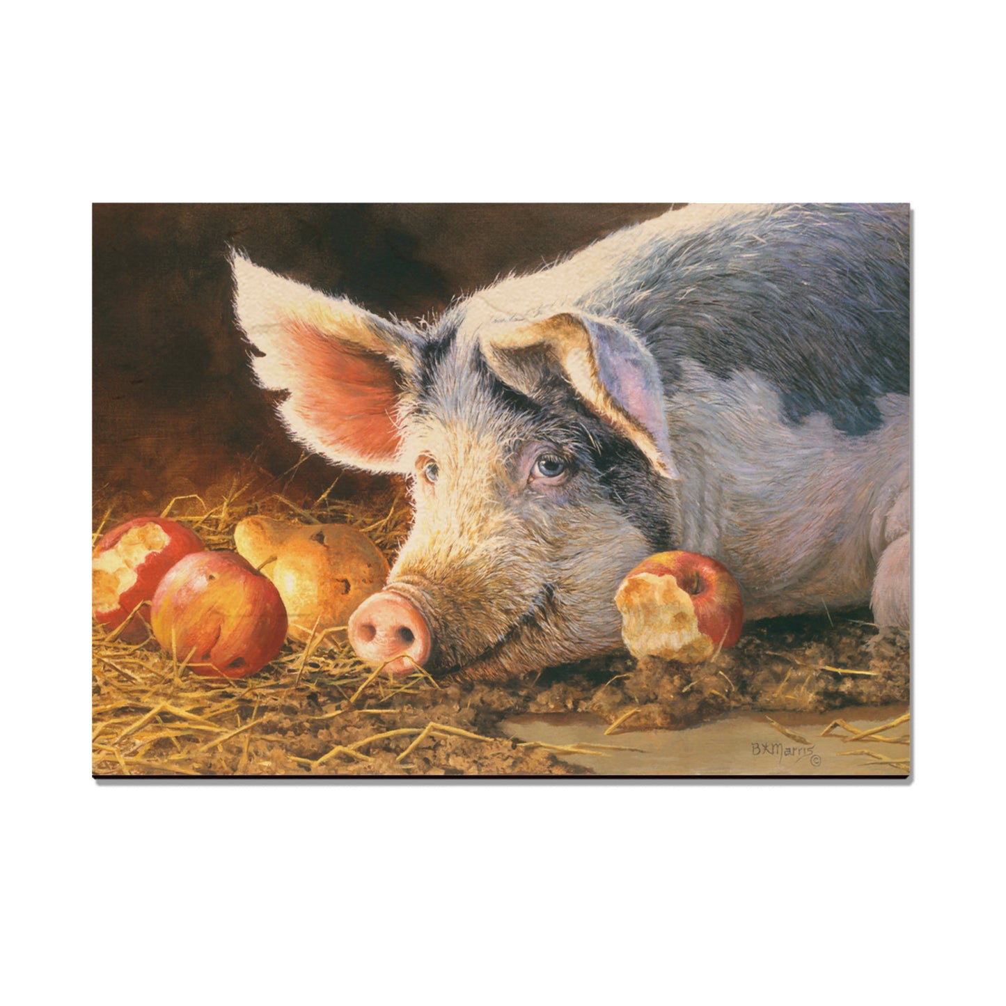 Marris' Happy Pig - Small Art & Gift Magnet (5pk // $2.80ea)