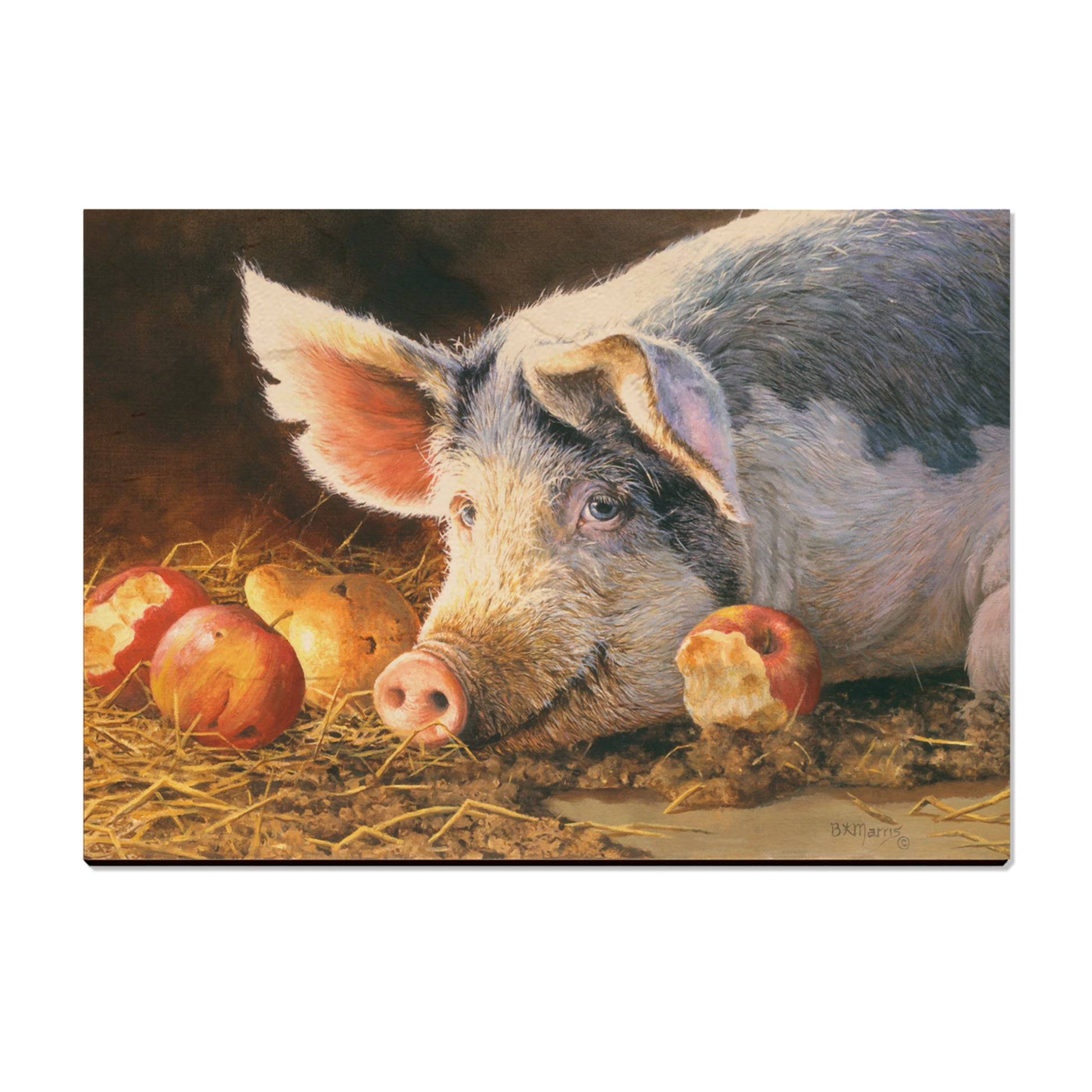Marris' Happy Pig - Small Art & Gift Postcard (5pk // $2.80ea)