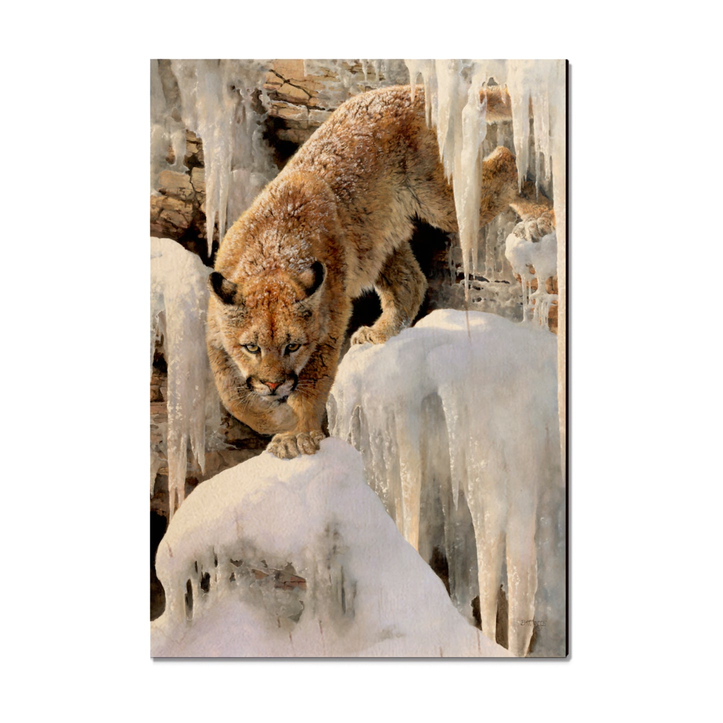 Marris' Ice Princess - Small Art & Gift Magnet (5pk // $2.80ea)