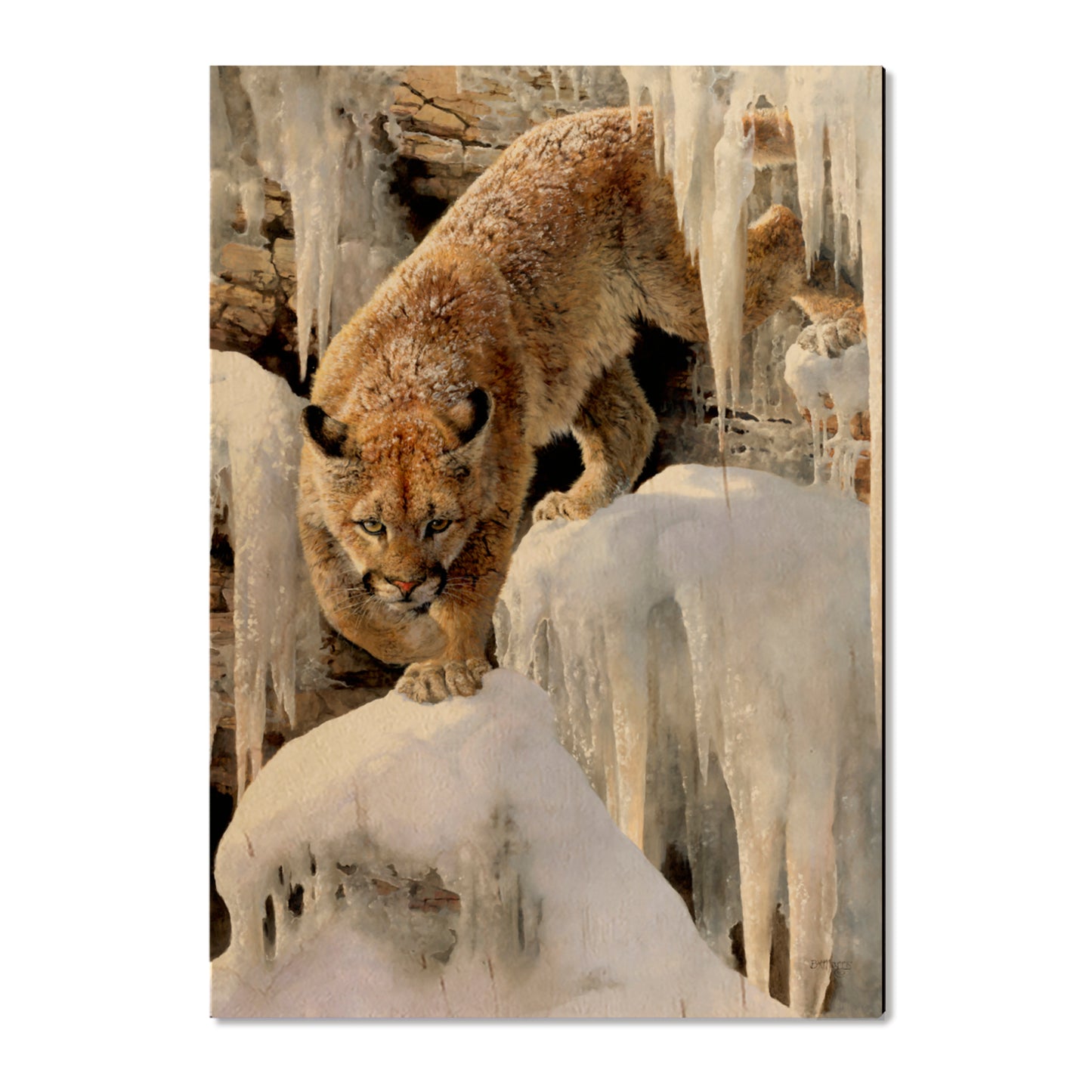 Marris' Ice Princess - Small Art & Gift Postcard (5pk // $2.80ea)