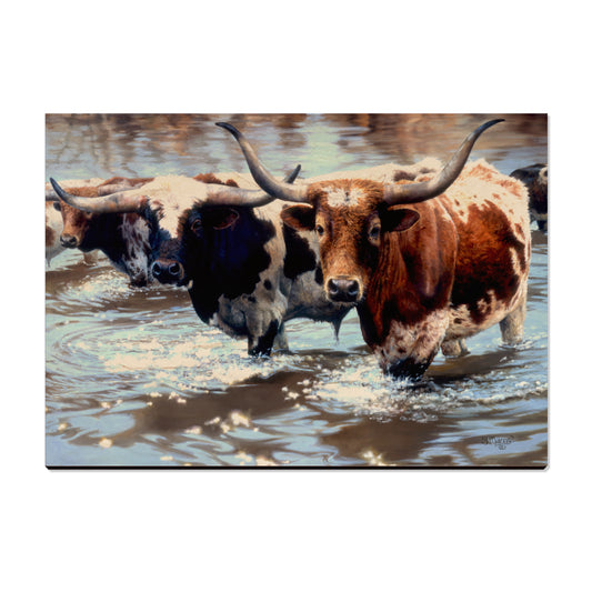 Marris' Long Horns - Small Art & Gift Postcard (5pk // $2.80ea)