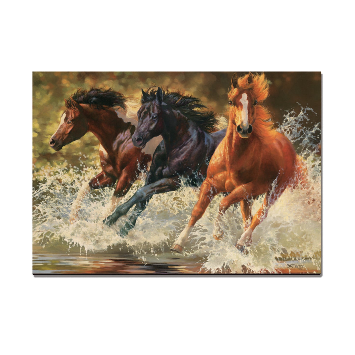 Marris' Splash Down - Small Art & Gift Magnet (5pk // $2.80ea)