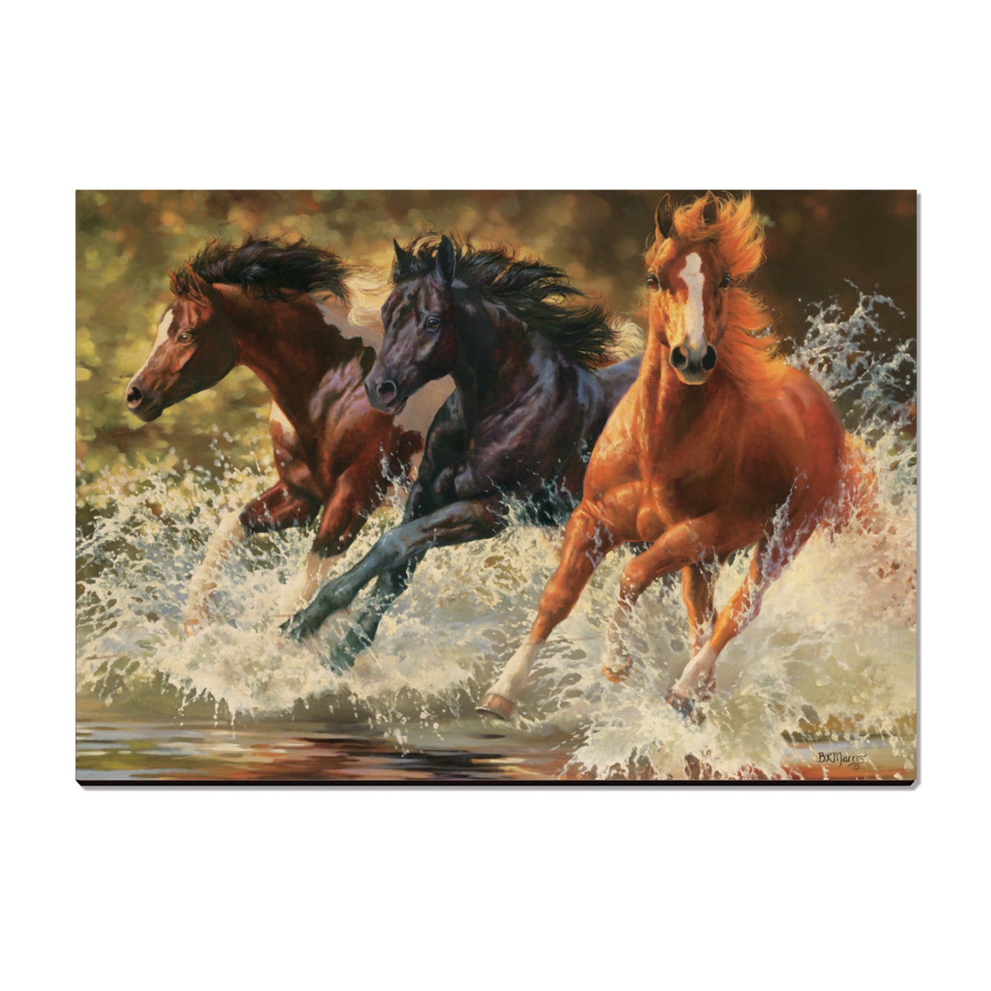 Marris' Splash Down - Small Art & Gift Postcard (5pk // $2.80ea)