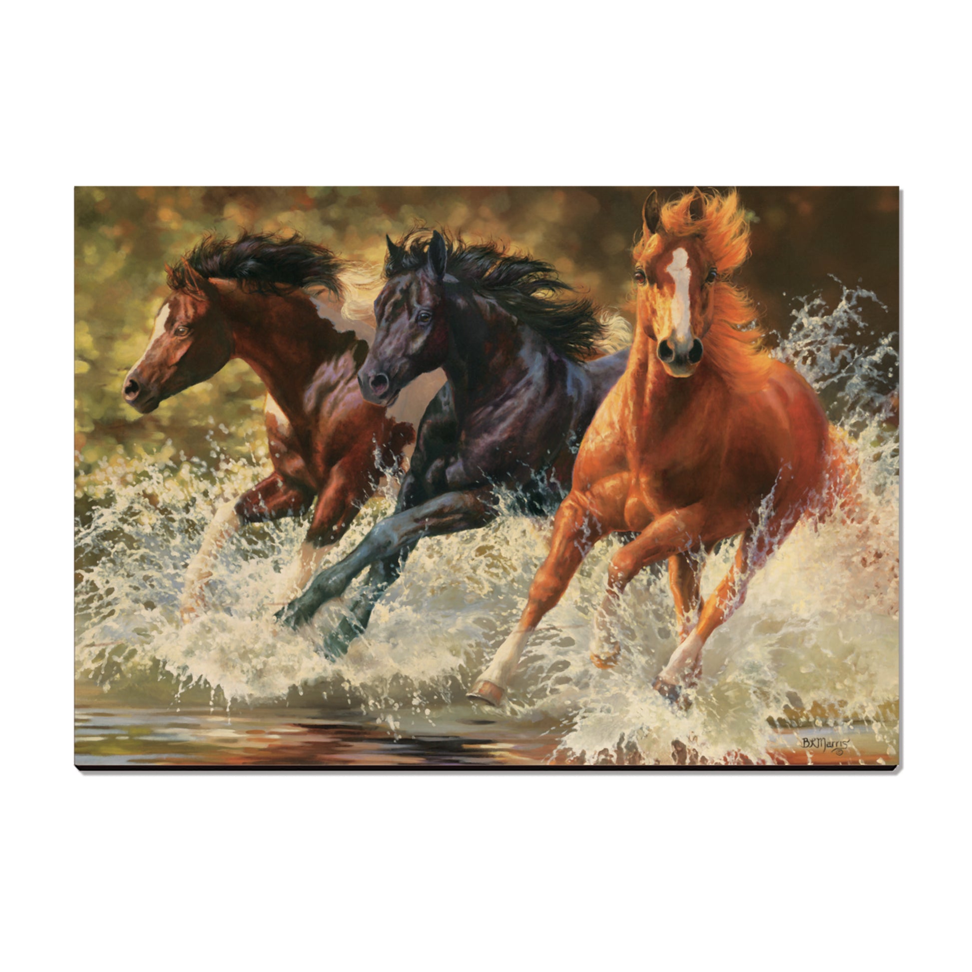 Marris' Splash Down - Small Art & Gift Postcard (5pk // $2.80ea)