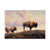 Marris' Three Bison - Small Art & Gift Magnet (5pk // $2.80ea)