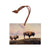 Marris' Three Bison - Small Art & Gift Ornament (5pk // $2.80ea)