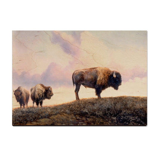 Marris' Three Bison - Small Art & Gift Postcard (5pk // $2.80ea)
