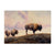 Marris' Three Bison - Small Art & Gift Postcard (5pk // $2.80ea)