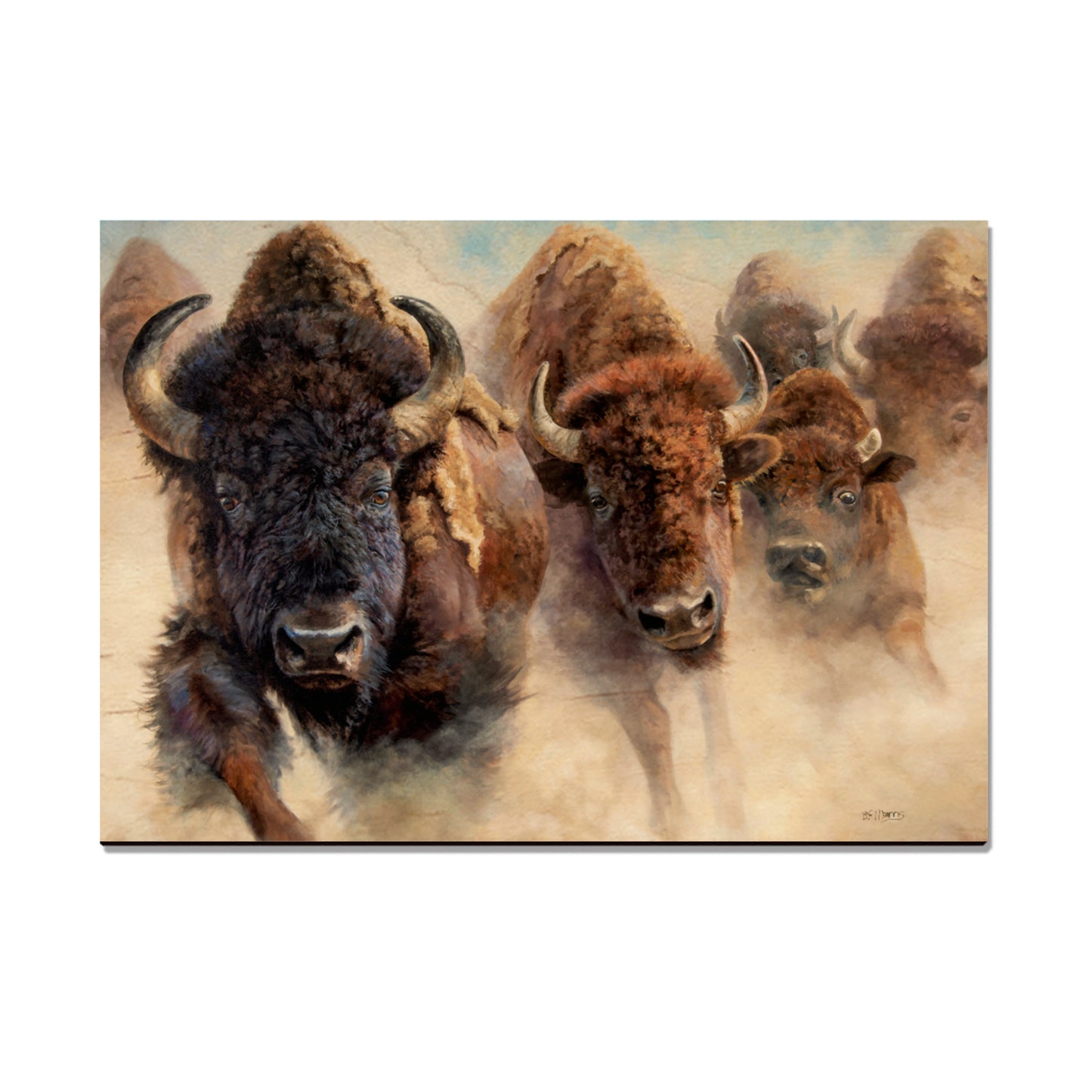 Marris' The Stampede - Small Art & Gift Magnet (5pk // $2.80ea)