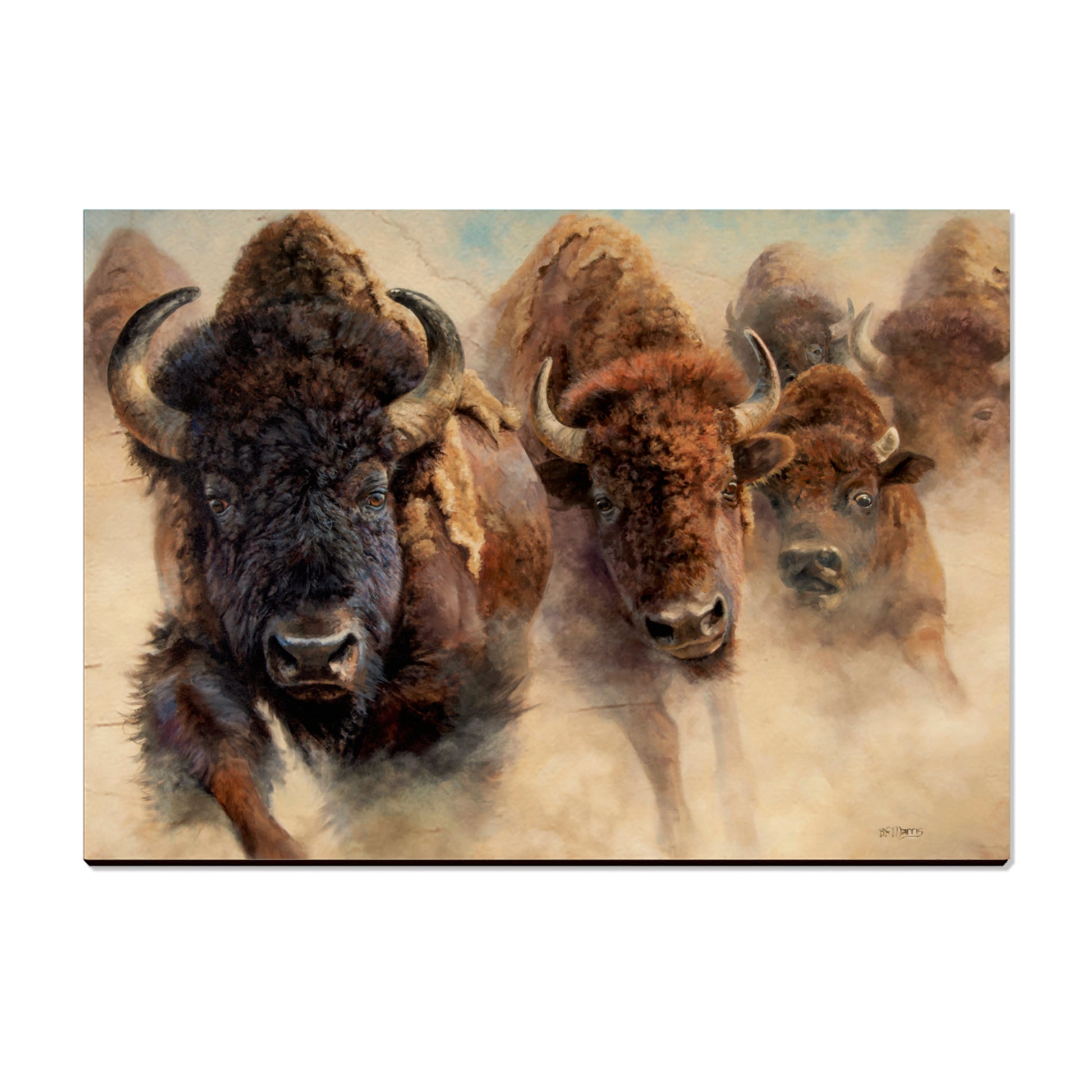 Marris' The Stampede - Small Art & Gift Postcard (5pk // $2.80ea)