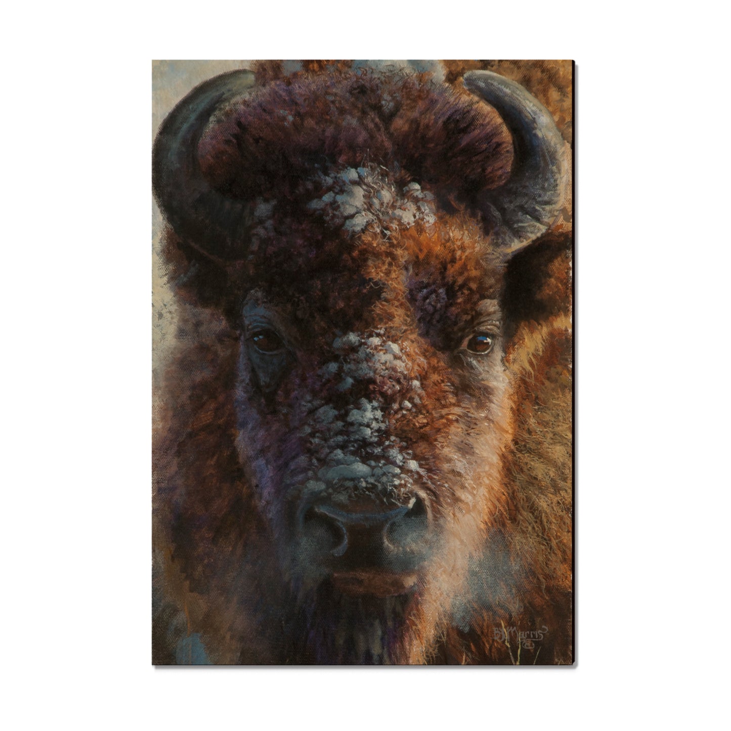 Marris' Winter Buffalo - Small Art & Gift Magnet (5pk // $2.80ea)