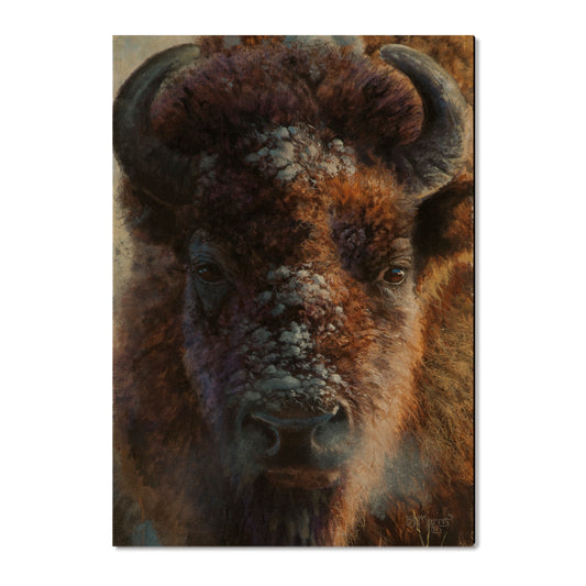 Marris' Winter Buffalo - Small Art & Gift Postcard (5pk // $2.80ea)