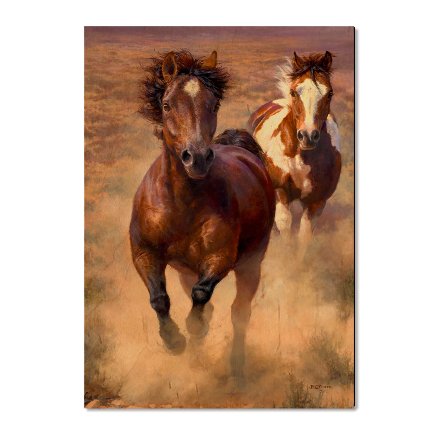 Marris' Wide Open - Small Art & Gift Postcard (5pk // $2.80ea)