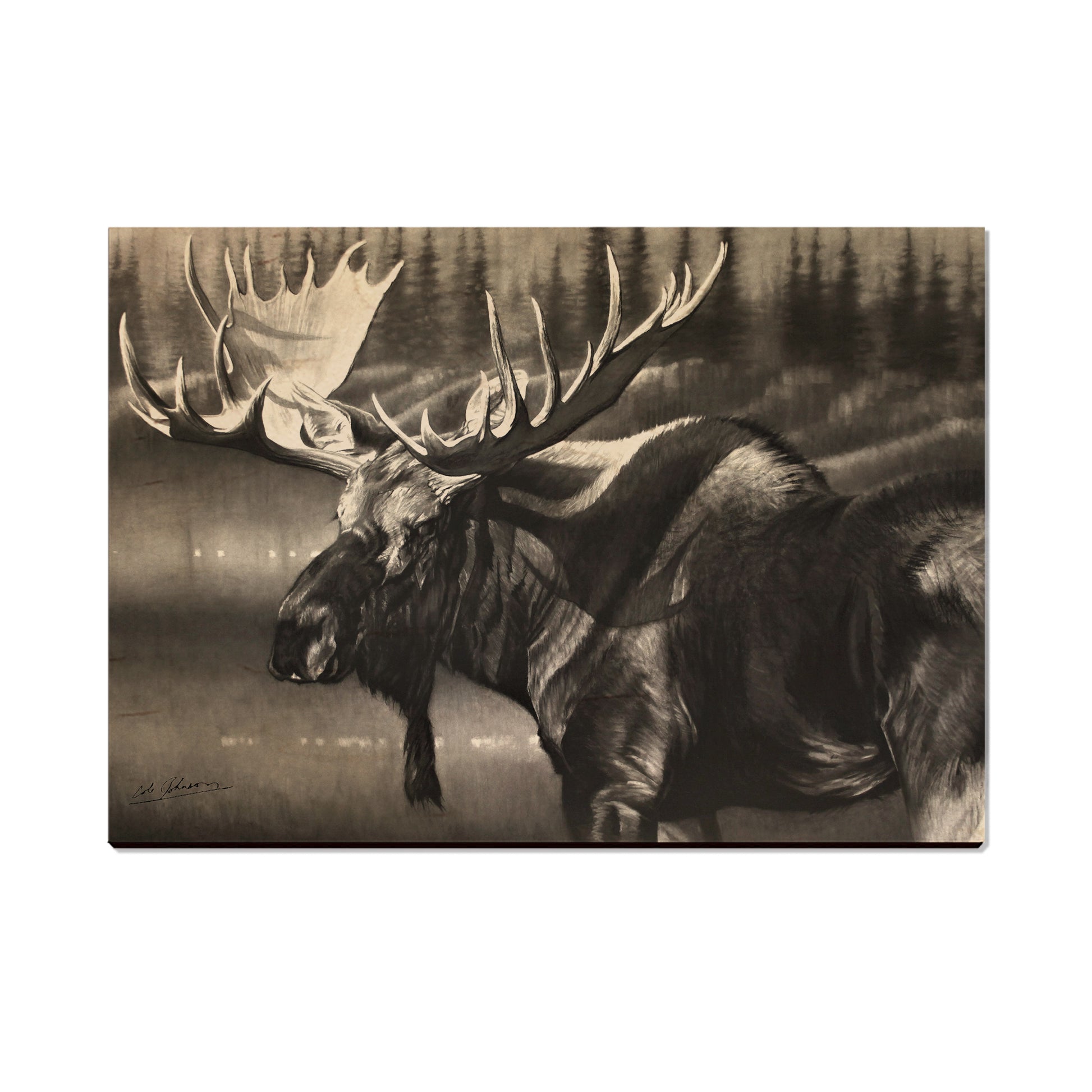 Johnson's Boreals Beast - Small Art & Gift Postcard (5pk // $2.40ea)