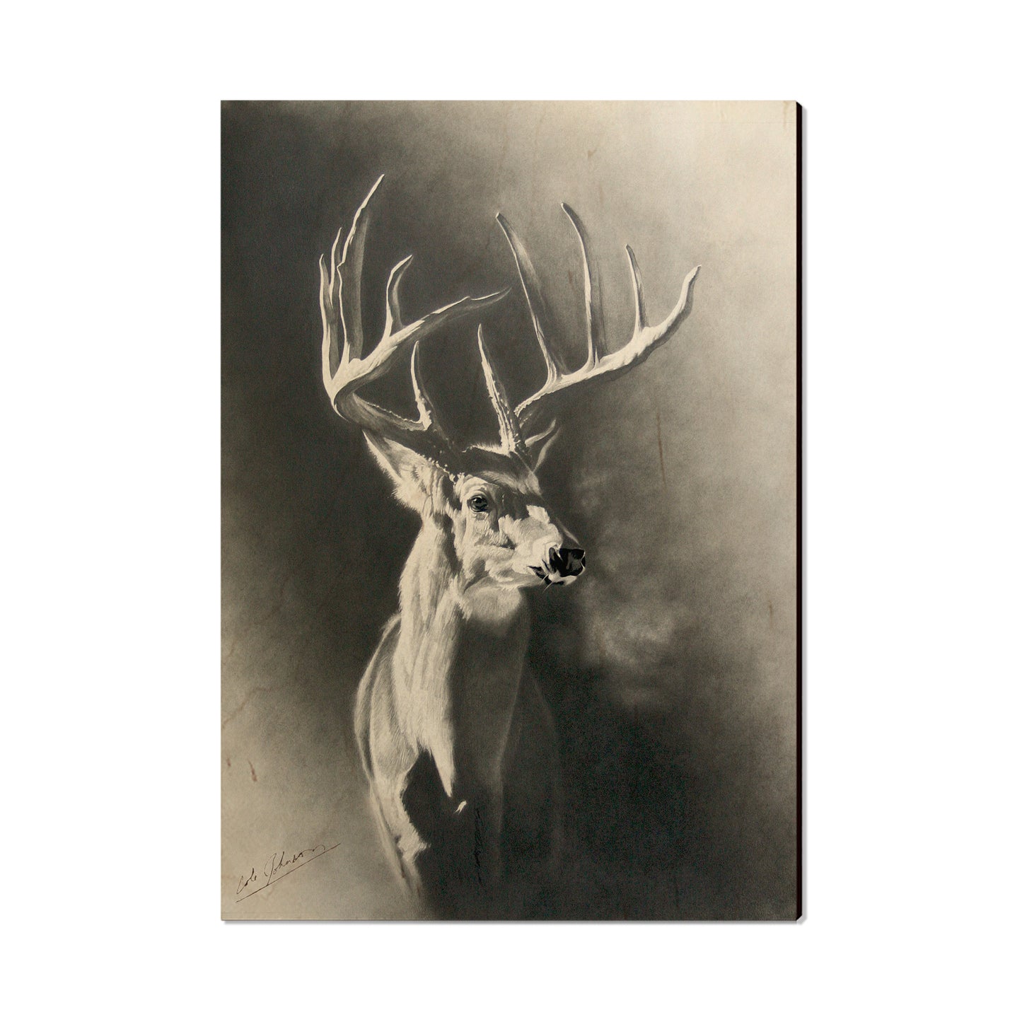 Johnson's Big Hoss - Small Art & Gift Postcard (5pk // $2.40ea)