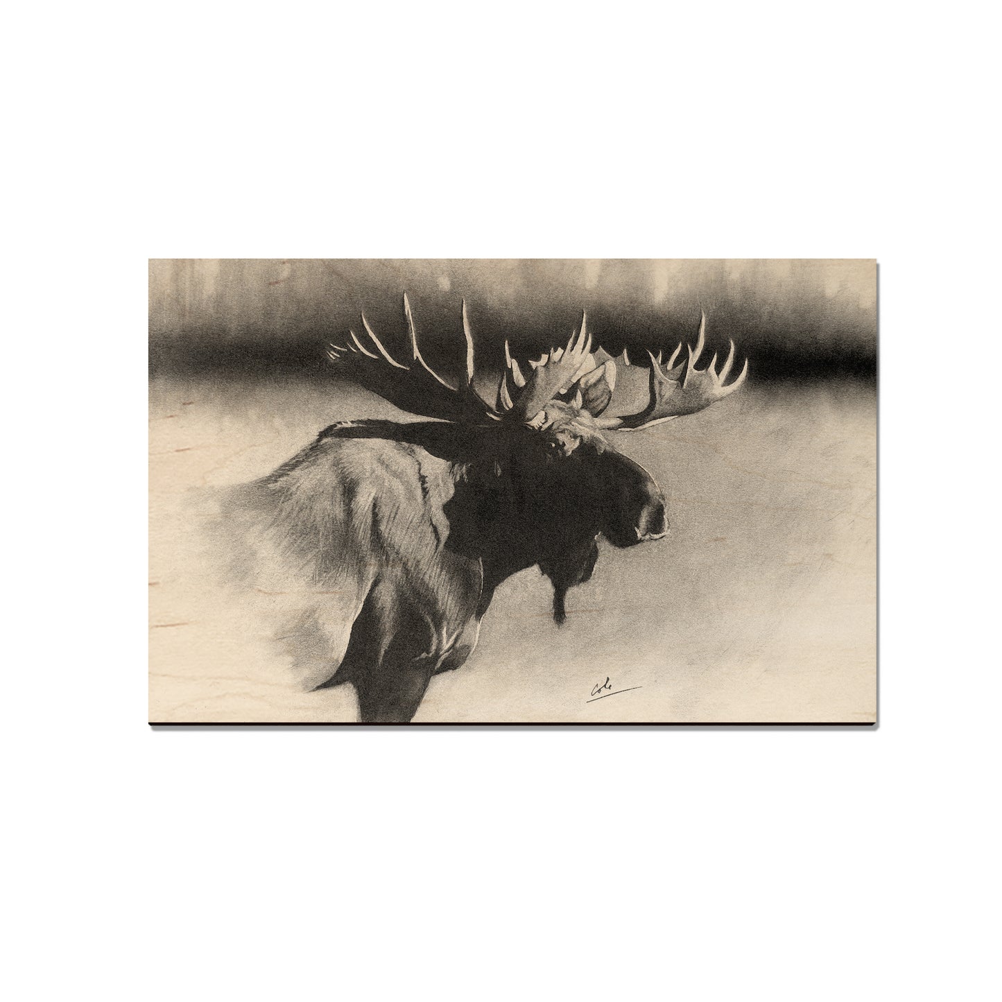 Johnson's Bull Moose - Small Art & Gift Magnet (5pk // $2.40ea)