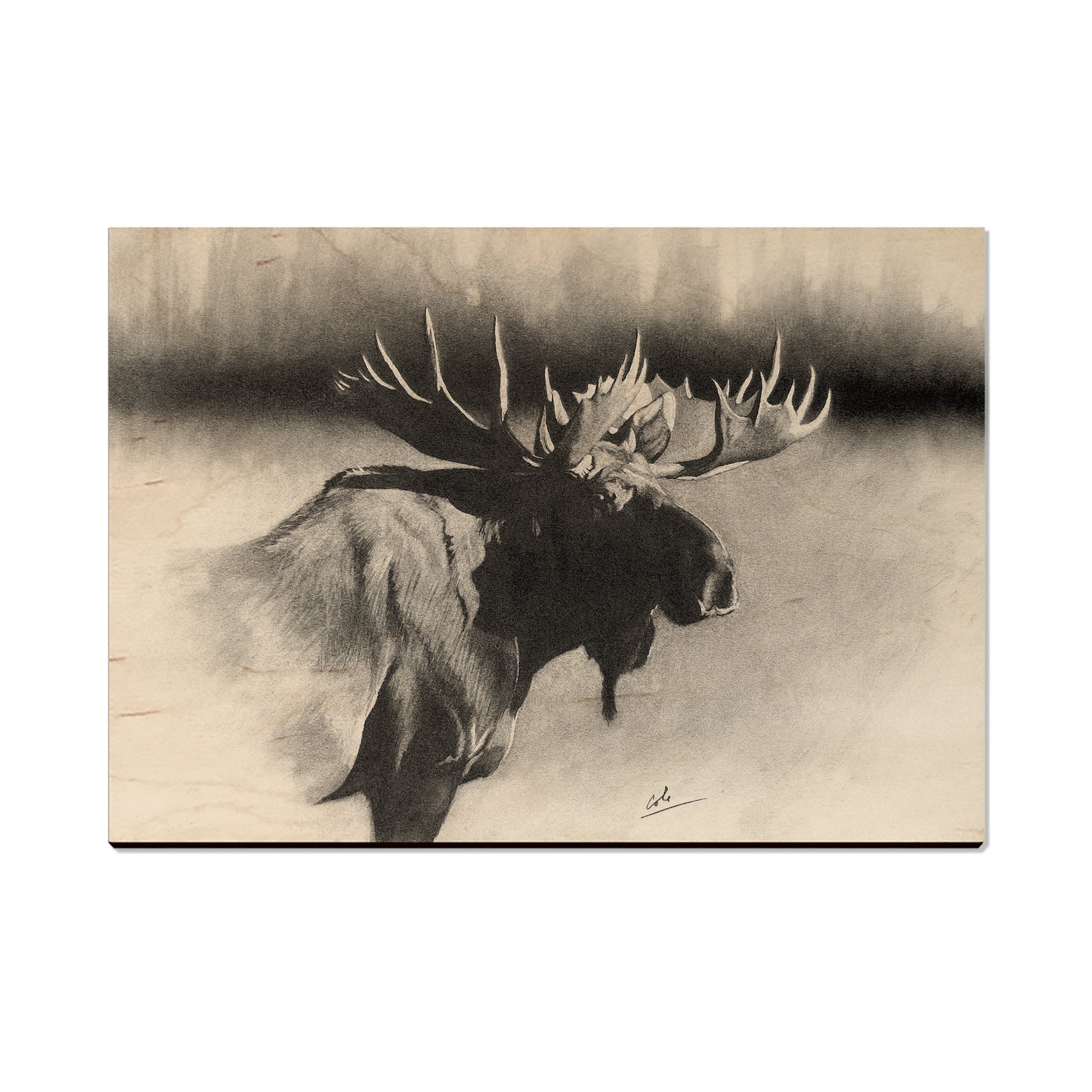 Johnson's Bull Moose - Small Art & Gift Postcard (5pk // $2.40ea)