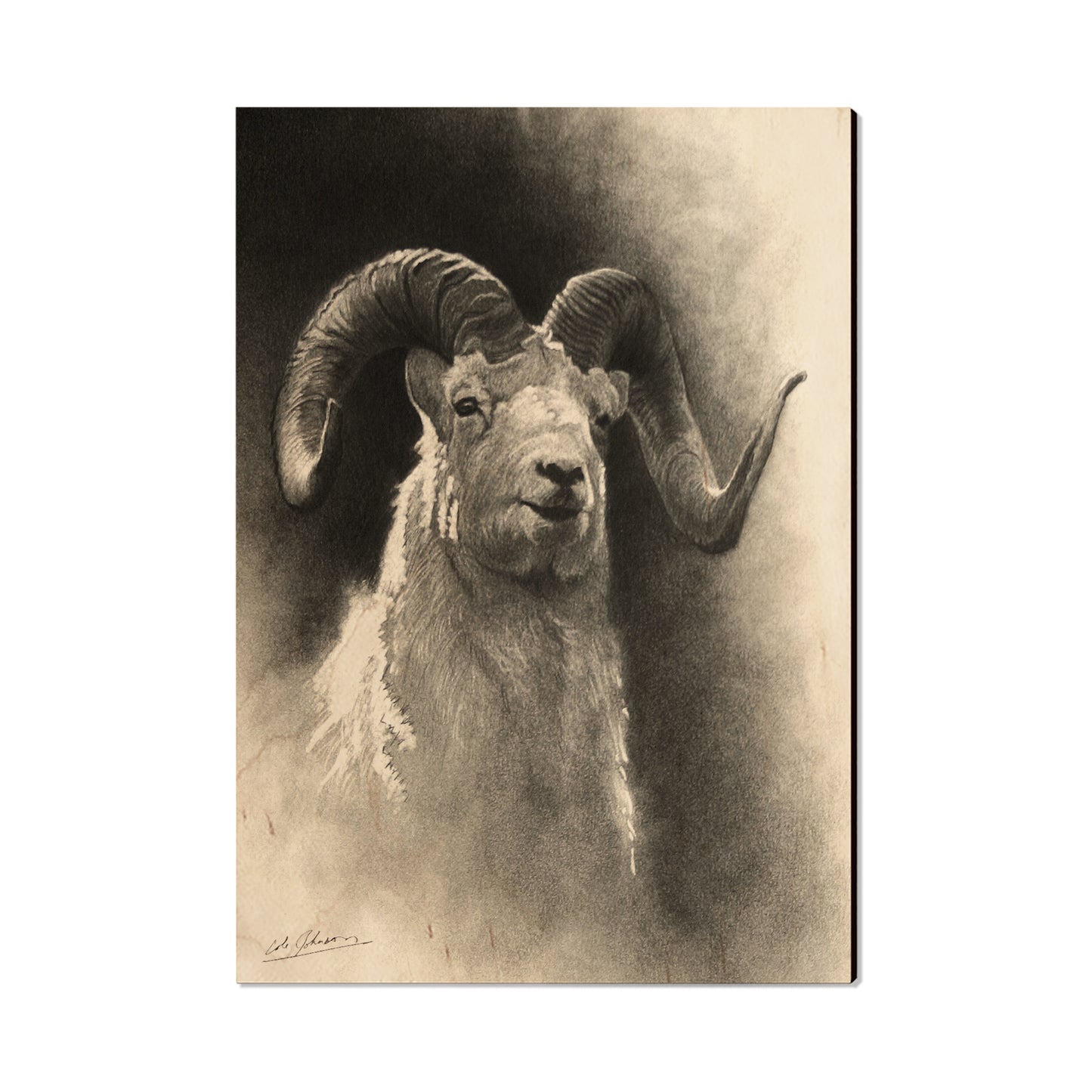 Johnson's Dramatic Dall - Small Art & Gift Postcard (5pk // $2.40ea)