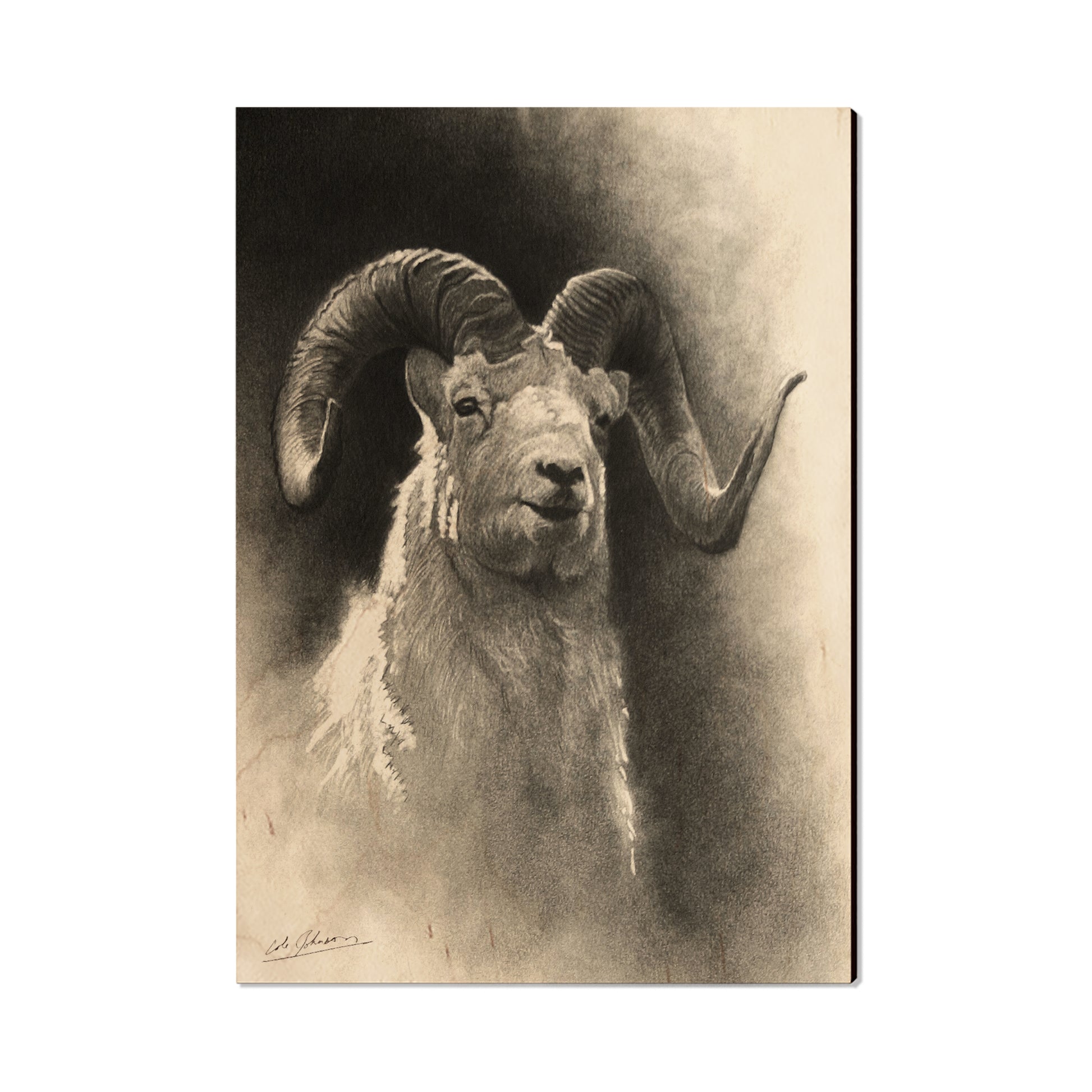 Johnson's Dramatic Dall - Small Art & Gift Postcard (5pk // $2.40ea)