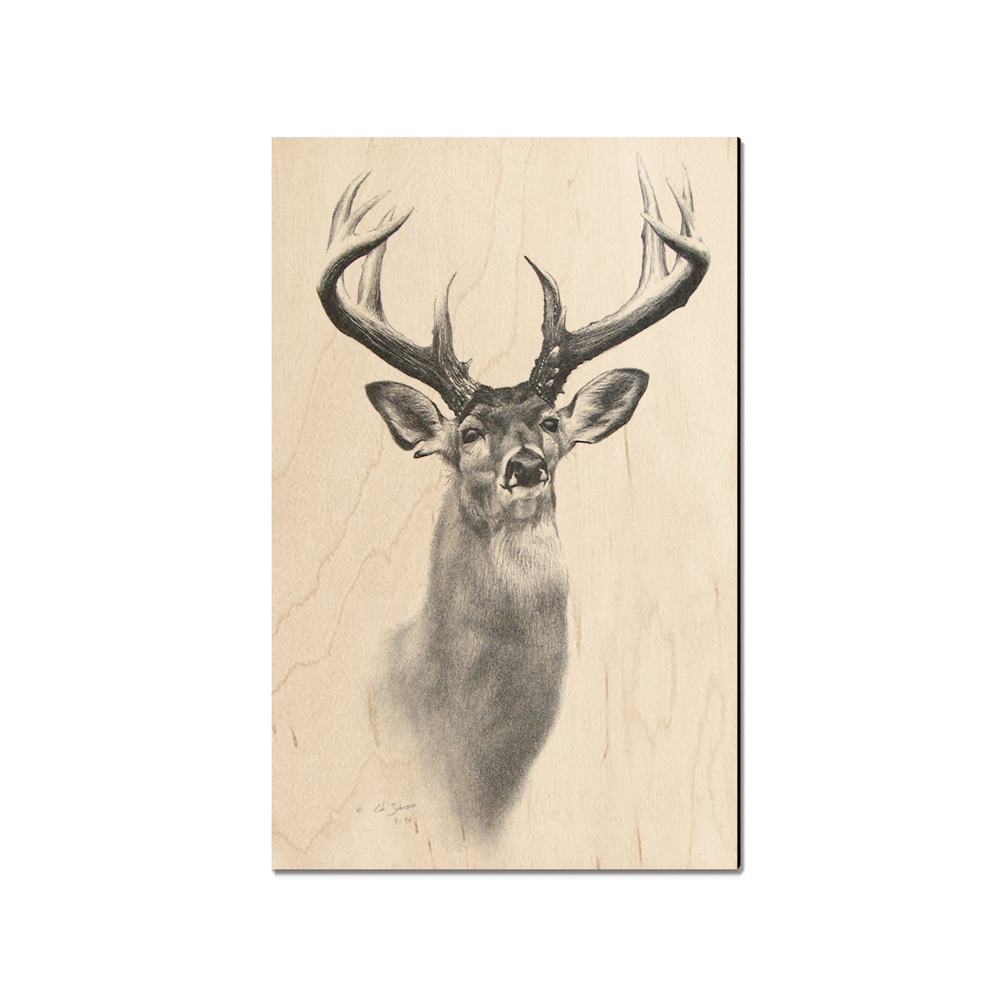 Johnson's Good Genes - Small Art & Gift Magnet (5pk // $2.40ea)