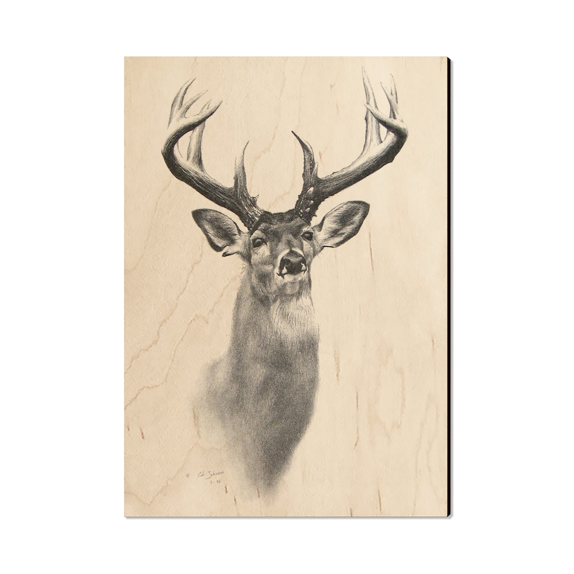 Johnson's Good Genes - Small Art & Gift Postcard (5pk // $2.40ea)