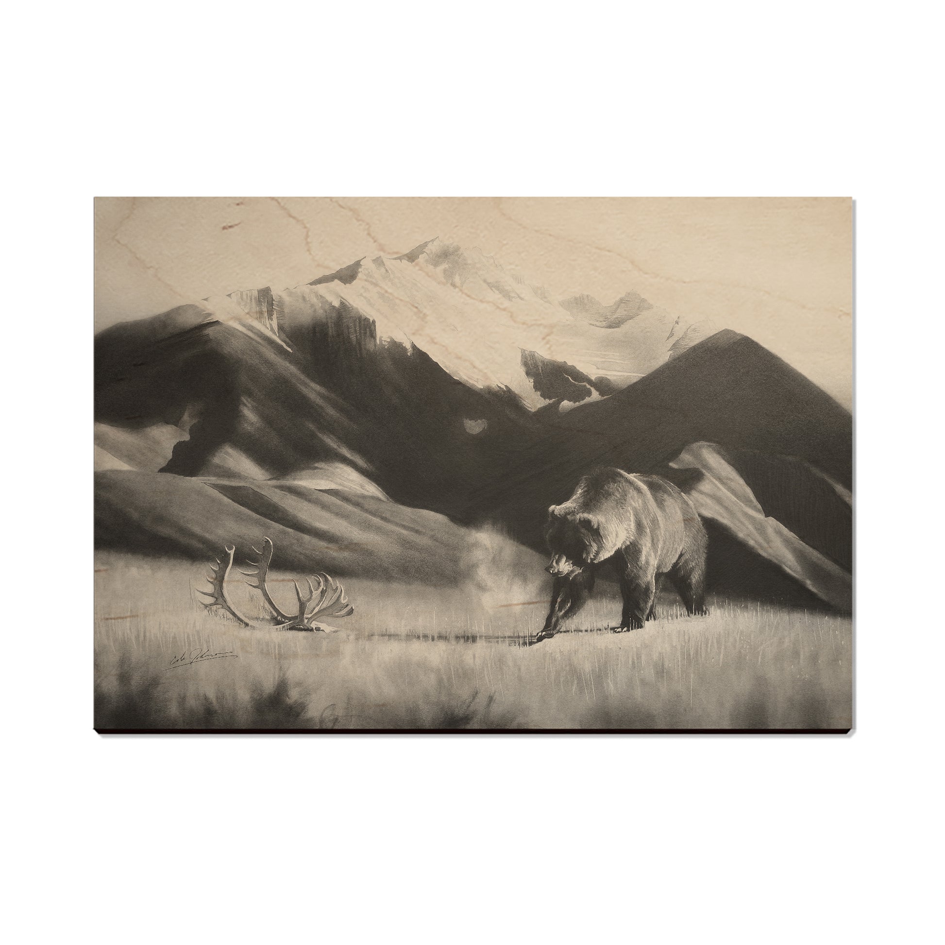 Johnson's Grizz with Rack - Small Art & Gift Postcard (5pk // $2.40ea)