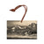 Johnson's Homeward Bound - Small Art & Gift Ornament (5pk // $2.40ea)