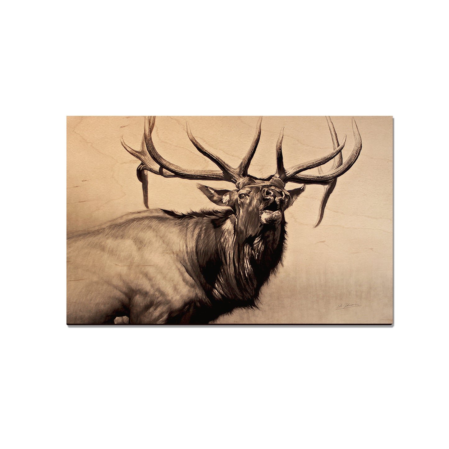 Johnson's Herd Bull - Small Art & Gift Magnet (5pk // $2.40ea)