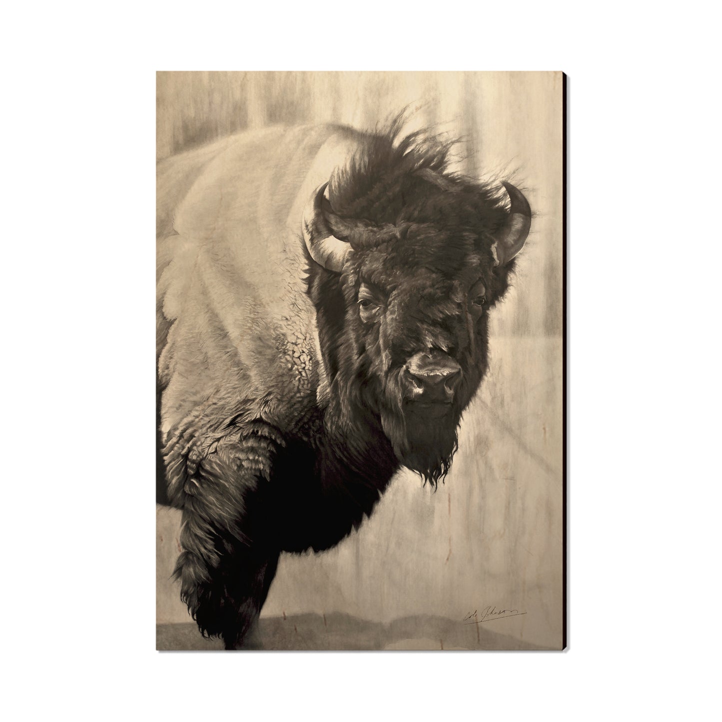 Johson's Icon Bison - Small Art & Gift Postcard (5pk // $2.40ea)