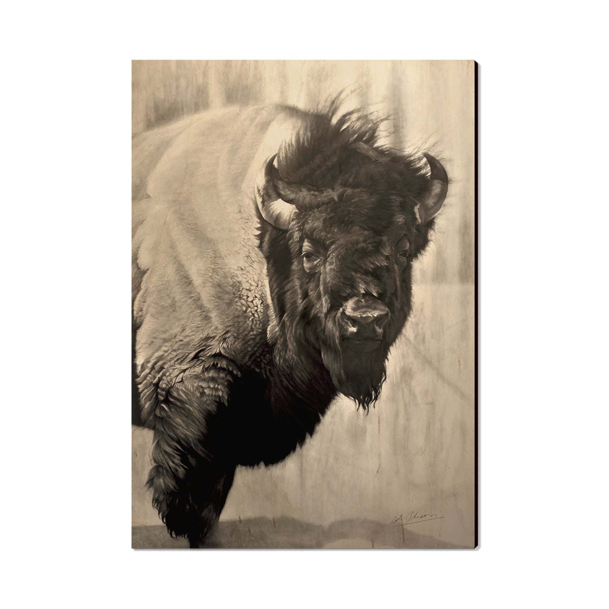 Johson's Icon Bison - Small Art & Gift Postcard (5pk // $2.40ea)
