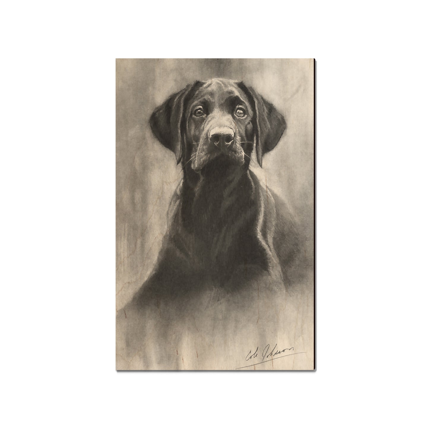 Johnson's Lab Pup - Small Art & Gift Magnet (5pk // $2.40ea)