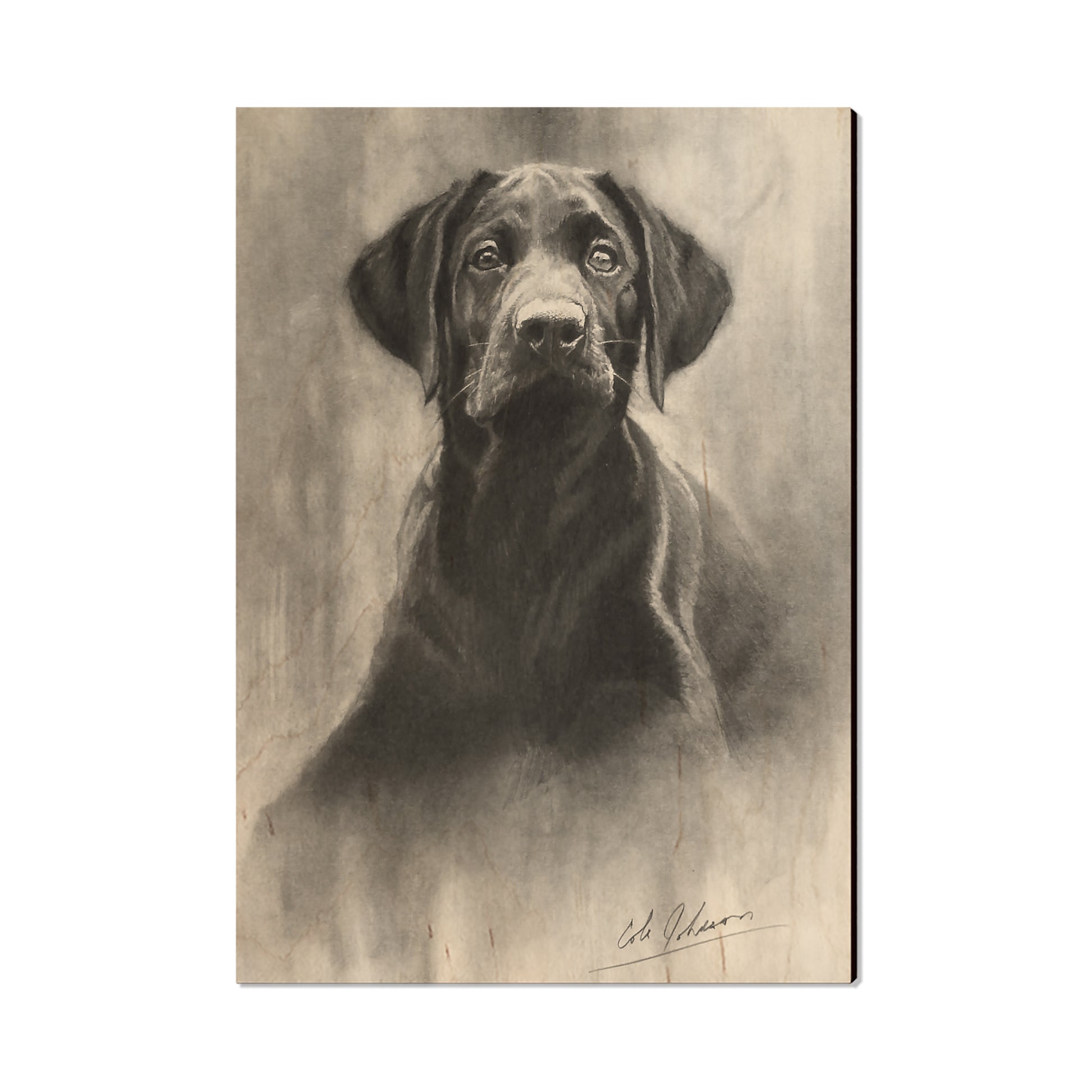 Johnson's Lab Pup - Small Art & Gift Postcard (5pk // $2.40ea)