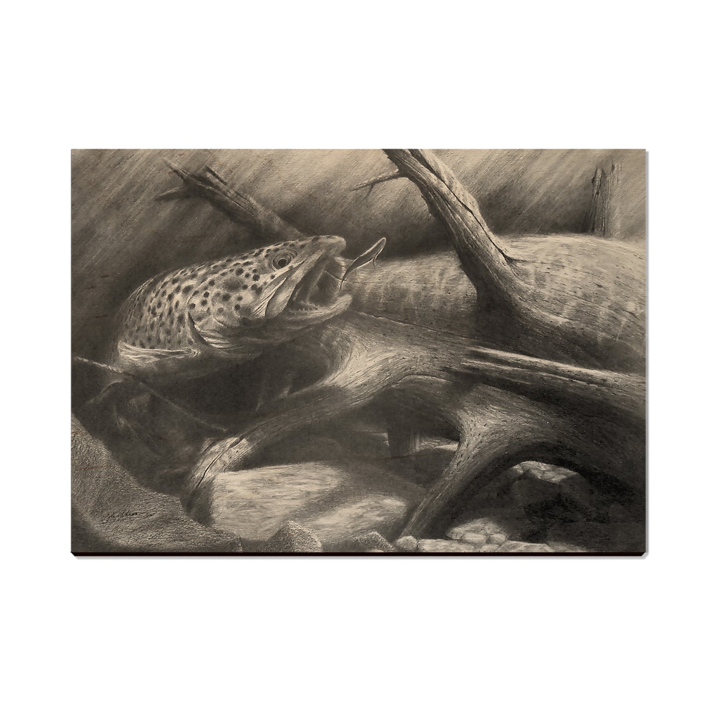 Johnson's Out of the Darkness - Small Art & Gift Postcard (5pk // $2.40ea)